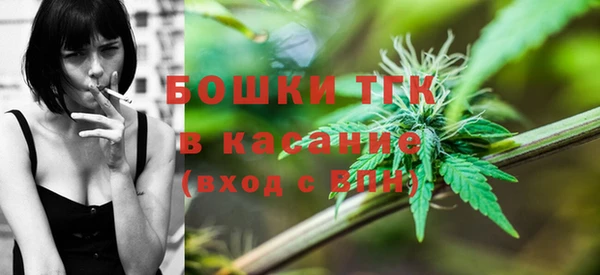 твердый Ладушкин
