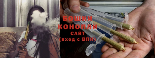 дурь Лагань