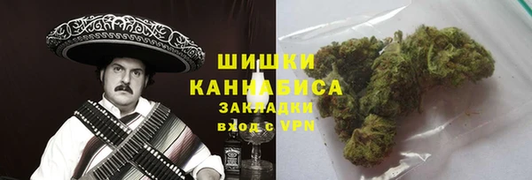 твердый Ладушкин