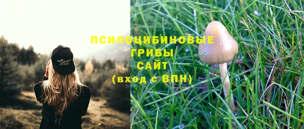 mix Лабытнанги