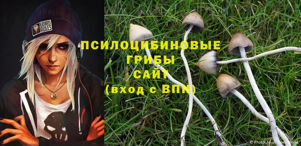 твердый Ладушкин
