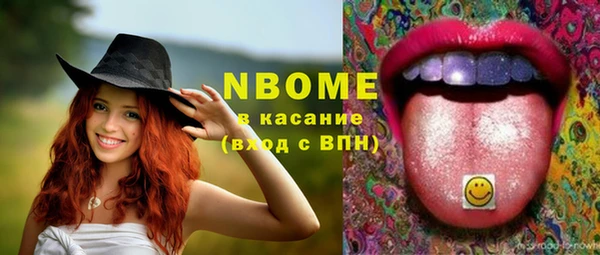 твердый Ладушкин