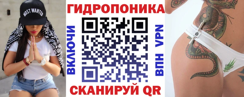 blacksprut онион  Сясьстрой  Каннабис марихуана 